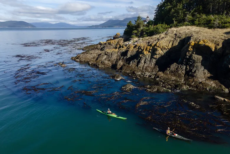 Van Isle Aerial Imaging Adventure Tourism